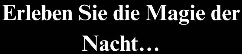 Erleben Sie die Magie der Nacht bei Timeless Nights Erleben Sie die Magie der Nacht bei Timeless Nights